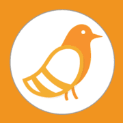 Pigeonhole Live logo
